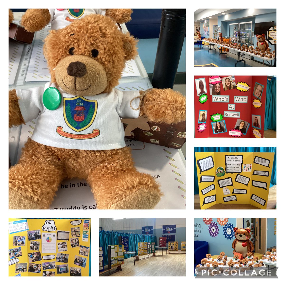 Our Redwell Bears are ready and waiting on our new P1’s to come and collect them. Looking forward to our P1 information session tonight. #redwelltransitions