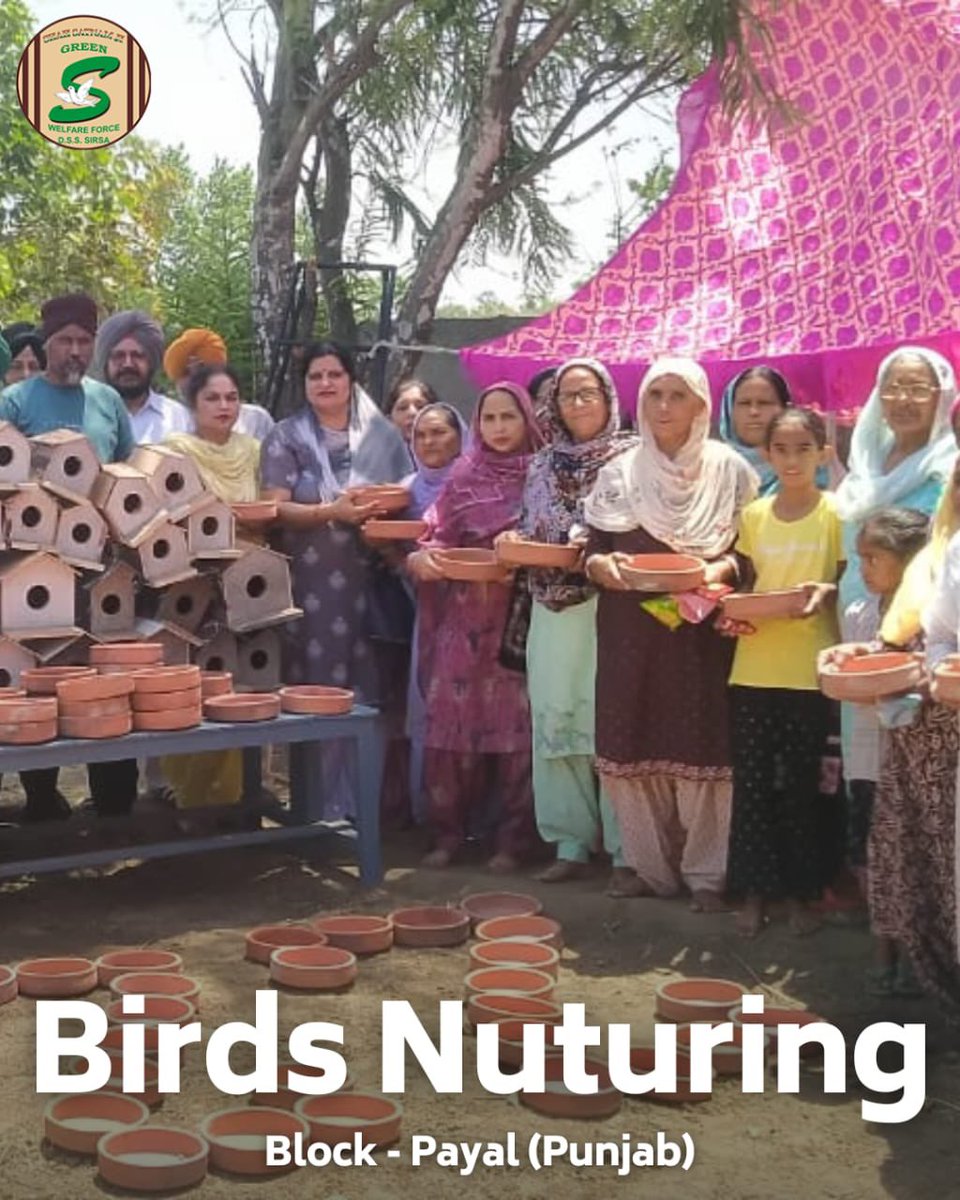 In a bid to combat the summer heatwave, Shah Satnam Ji Green ’S’ Welfare Force Wing volunteers are setting up bird baths and feeders in nearby parks and on rooftops. This initiative aims to provide much-needed hydration and nourishment to birds and small creatures struggling in
