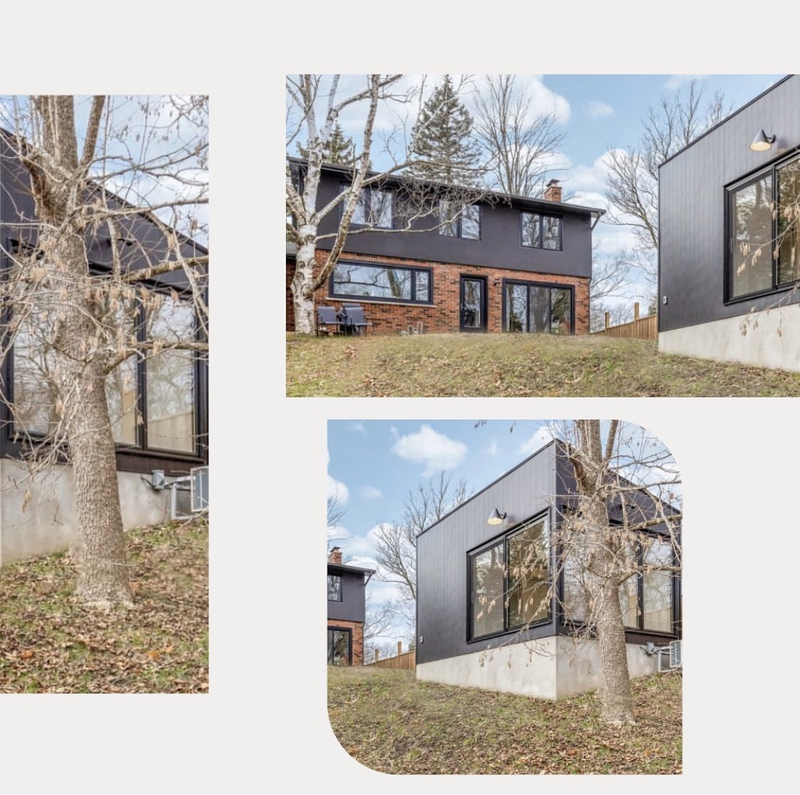 Team Shane tweet media