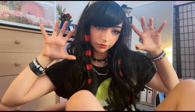 May I paw? 🐾 https://t.co/hYvmzZCpbk