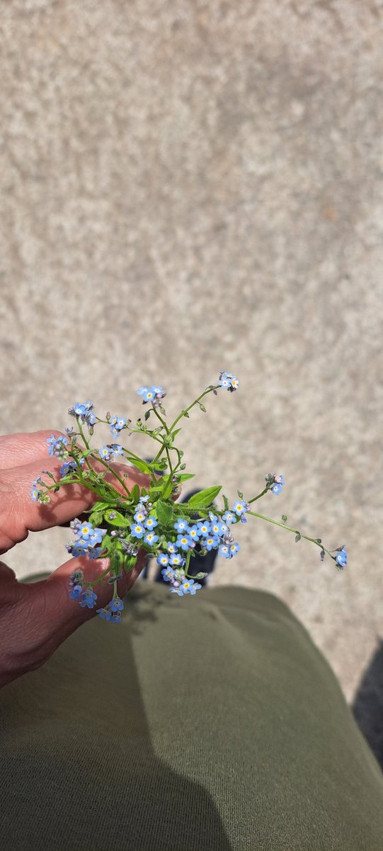 __

Bayramlar sevdiklerimizle güzel,

Hayırlı bayramlar🍬🍬
__