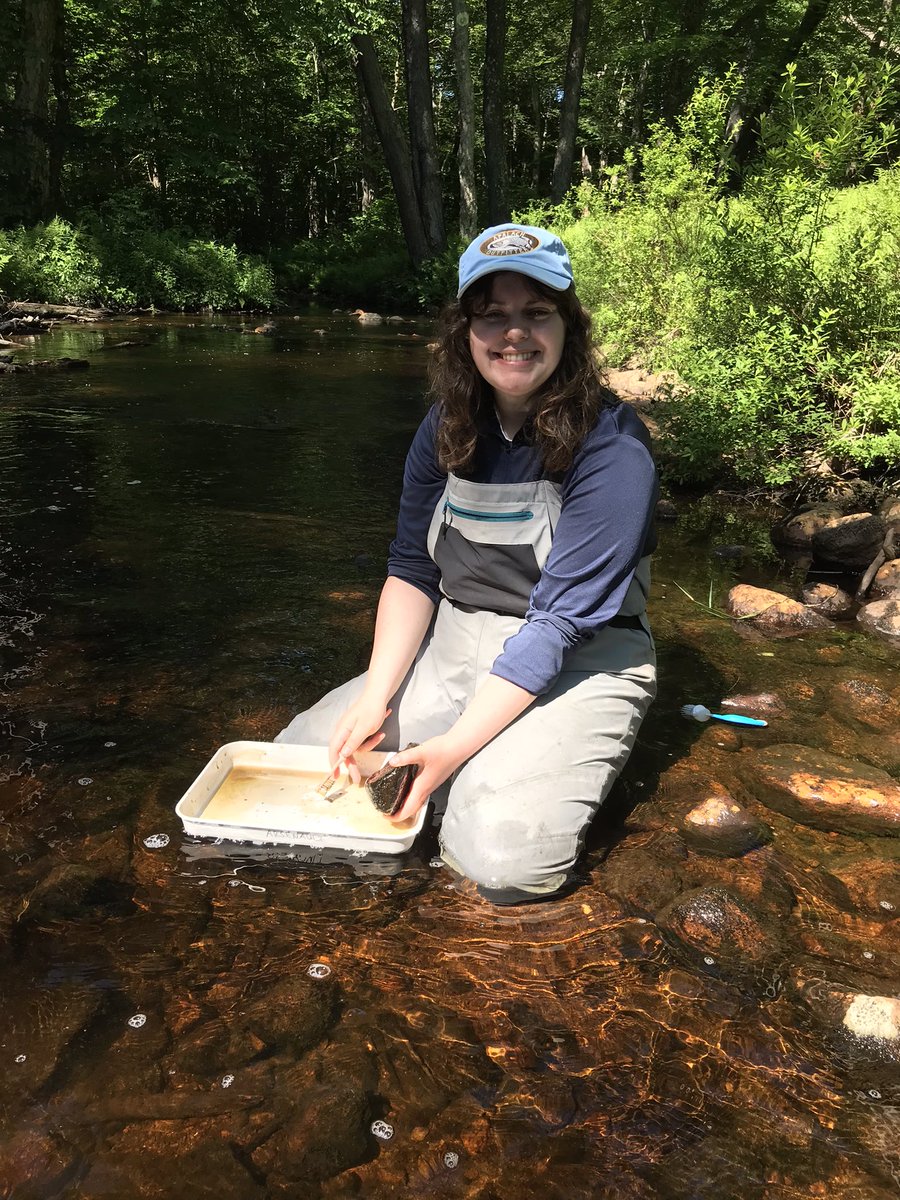 My MS student, Abby Hullihen, and her fearless team of undergrads seek to understand how beavers impact food sources for aquatic insects through the construction of dams that alter stream habitat. Bushwhacking is bringing them to some pretty amazing places in the NW ADKs. 🦫🍂🐛