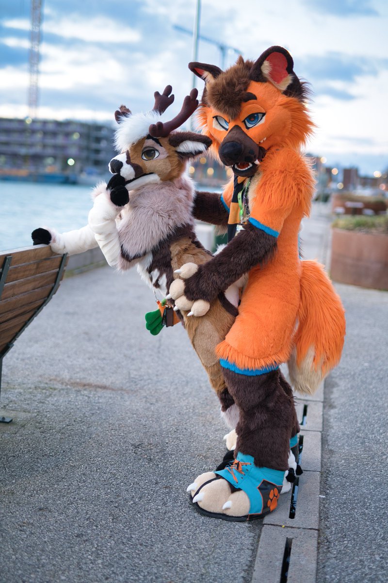 Bleat_Deer's tweet photo. Hellow there  👀 
#MFYMonday 
🍊@Space_Kalak https://t.co/kNYKVLumEp