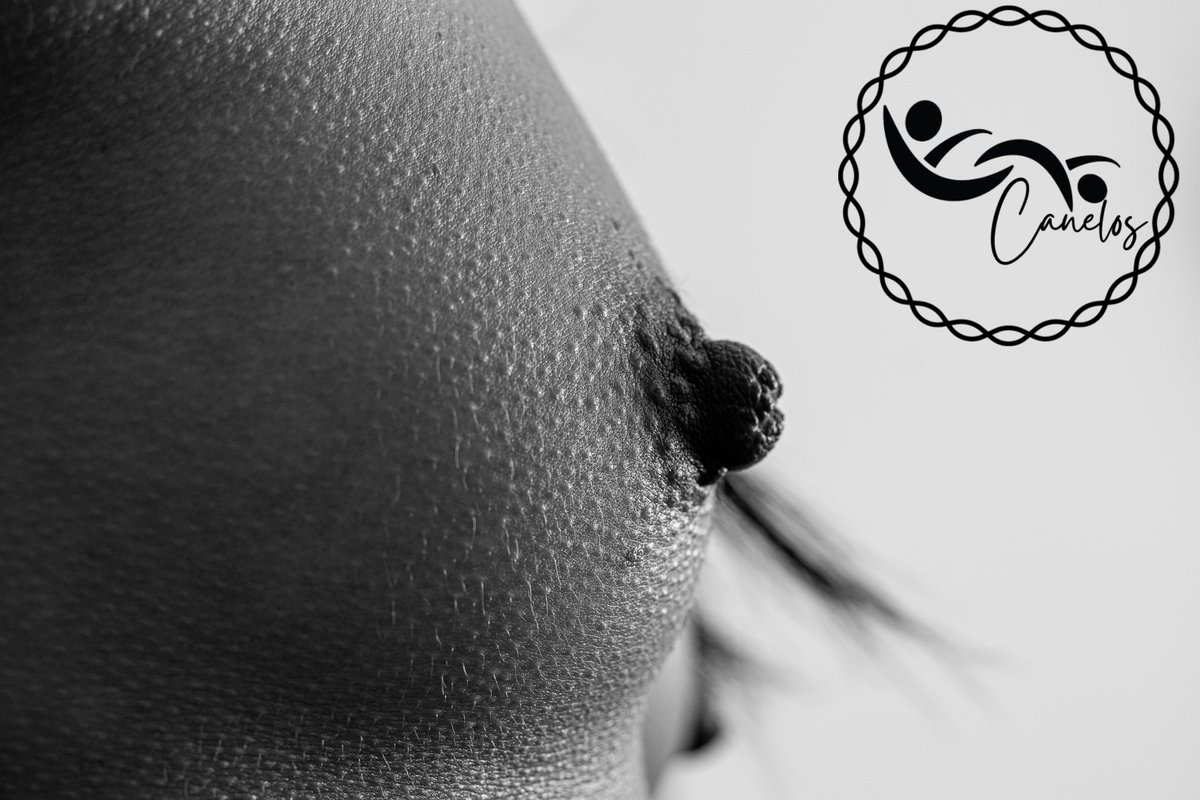 Caricias que erizan, que estimulan, son el inicio en un camino vertiginoso de placer, seducción y pasión. 
#nudeart #boudoir #fotografía