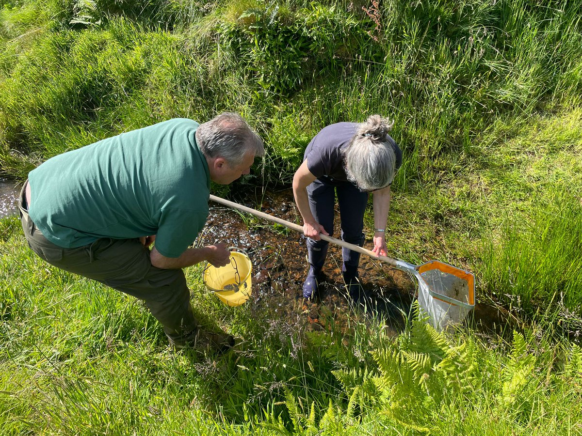 Ripple_Sussex's tweet image. The teams were testing the River in the sunshine today (nr Groombridge, Hartfield and Forest Row).

We&apos;re adding kick sample testing, with certification by  @riverflies -  so much knowledge!  

See the Ripple Effect website if you want to join us!  
#citzenscience