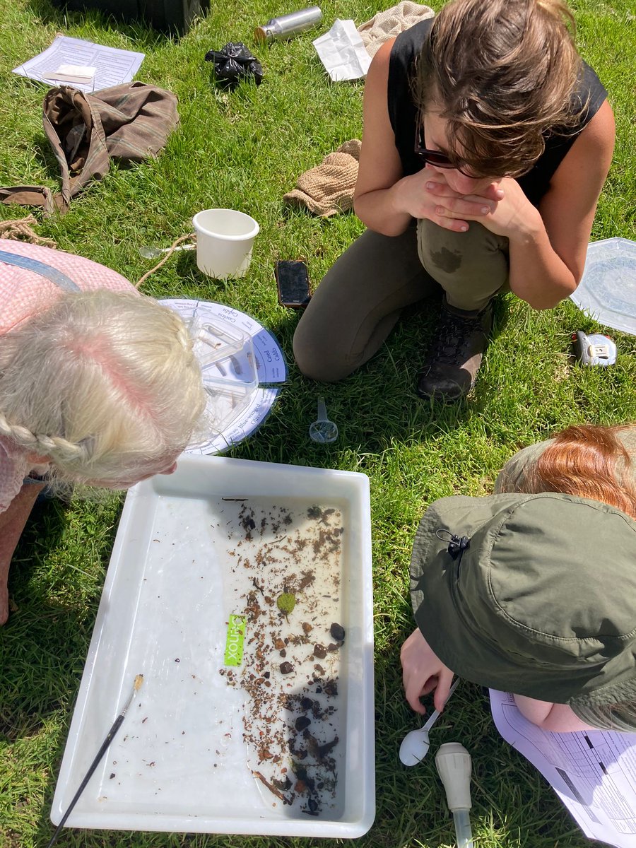 The teams were testing the River in the sunshine today (nr Groombridge, Hartfield and Forest Row).

We're adding kick sample testing, with certification by  @riverflies -  so much knowledge!  

See the Ripple Effect website if you want to join us!  
#citzenscience