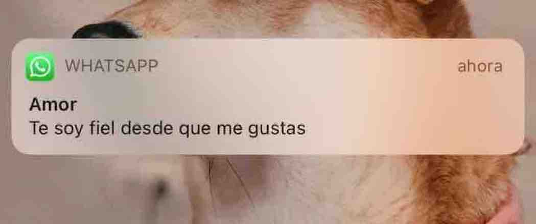 Nadie:

Yo en el amor: