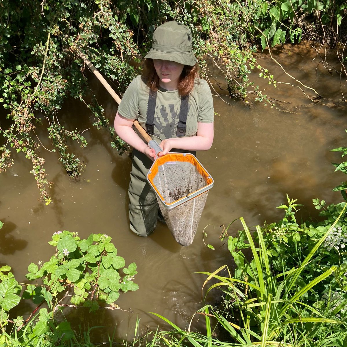 Ripple_Sussex's tweet image. The teams were testing the River in the sunshine today (nr Groombridge, Hartfield and Forest Row).

We&apos;re adding kick sample testing, with certification by  @riverflies -  so much knowledge!  

See the Ripple Effect website if you want to join us!  
#citzenscience