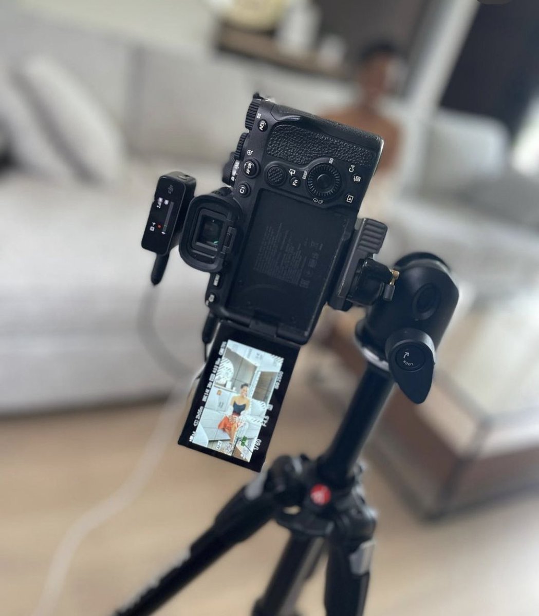 Team Shane tweet media