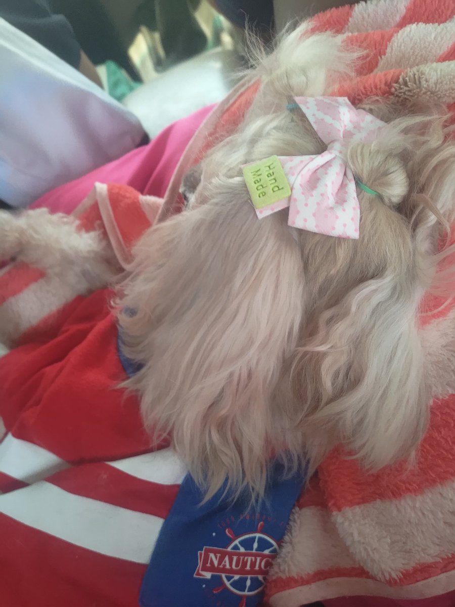 🌿𝑠𝑜𝑜𝑚𝑒𝑙𝑙𝑜 tweet media