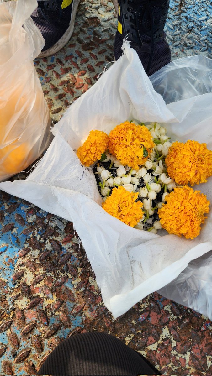 🌿𝑠𝑜𝑜𝑚𝑒𝑙𝑙𝑜 tweet media