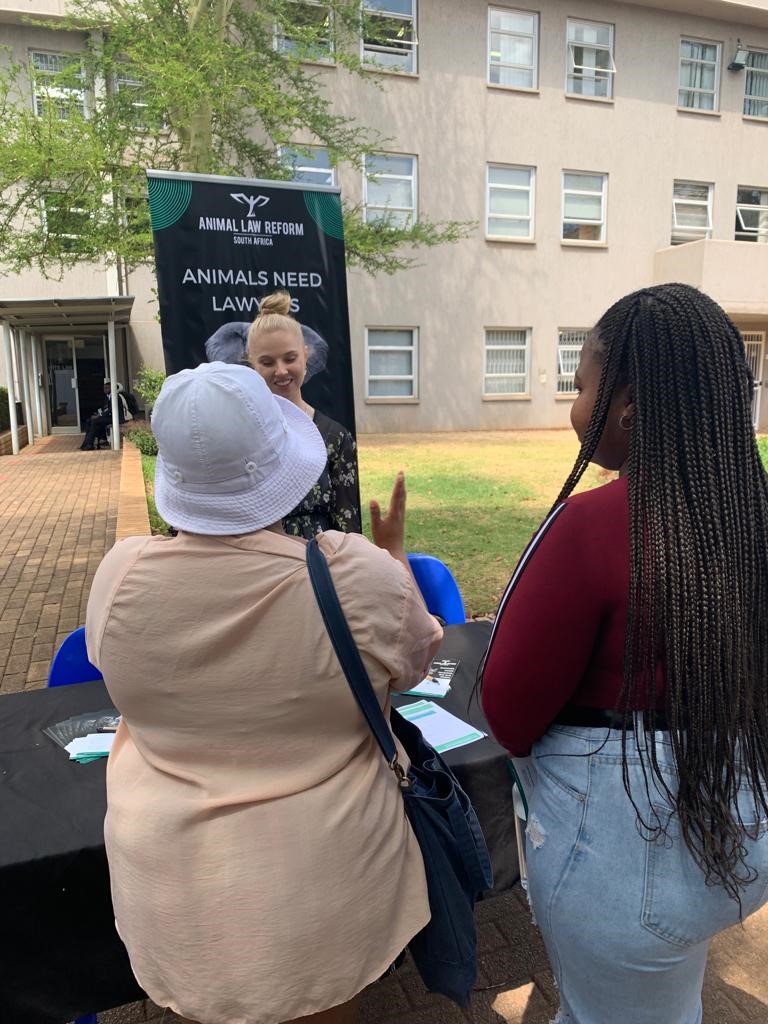 Youth Day 2024
The youth are the architects of tomorrow’s world
At ALRSA we seek to empower them to drive positive change for animals, human rights, our environment &amp; society through educational &amp; research initiatives such as university courses &amp; partnerships, career fairs &amp; more
