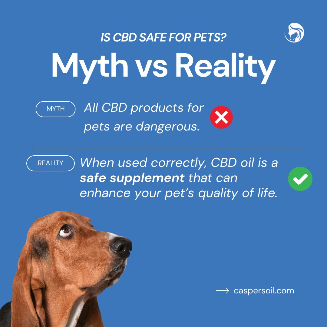 caspersoil's tweet photo. Here are a few safety tips:
- Always start with a low dose and observe your pet’s reaction.
- Consult your vet before starting CBD, especially if your pet is on other medications.

Learn more about CBD safety on our blog: https://t.co/Vuzzscw4RT #SafeCBD

#cbdtips #cbdforpets https://t.co/iM6GO56v5W