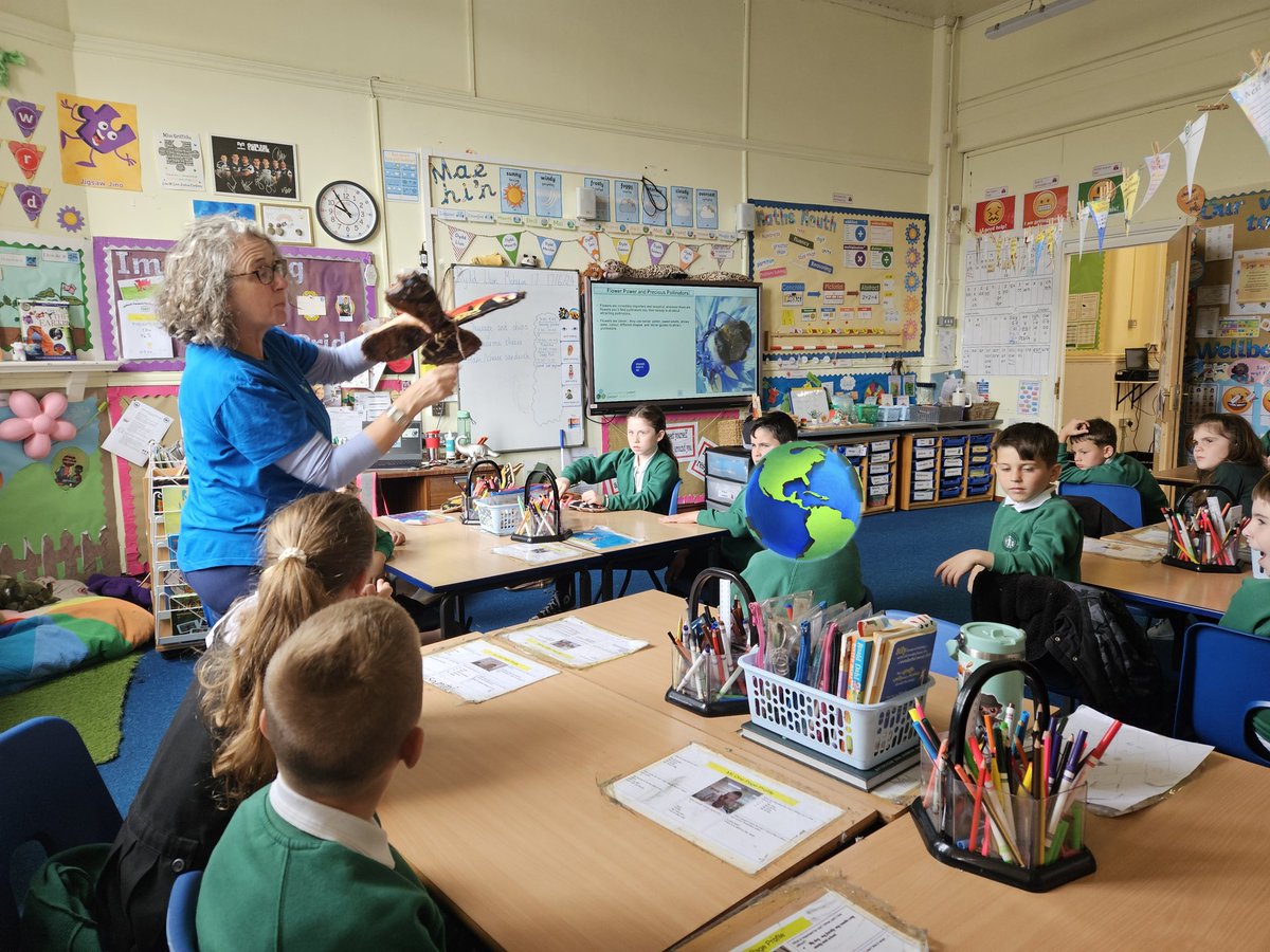 GILFACHFARGOED's tweet photo. Today Year 3/4 enjoyed a pollinator workshop with Colette from @GwentGreenGrid. We learnt about the importance of pollinators and how we can help pollinators in our local environment! 🦋 #NatureandClimate #HelpingNaturetoHelpUs https://t.co/V3Oz7C1NM0