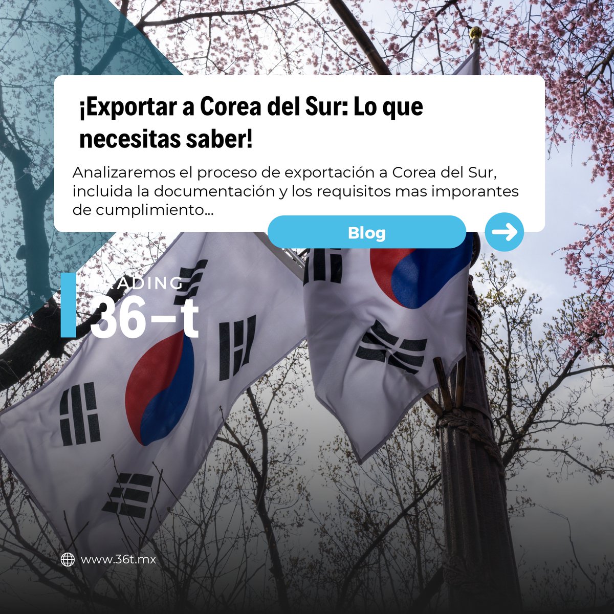 36t_group's tweet photo. 🇰🇷🫱🏻🫲🏽🇲🇽 ¡Exportar a Corea del Sur: Lo que necesitas saber!
.
.
▶️ ¡Te invitamos cordialmente a que puedas acceder a este #ContenidoEspecializado completo entrando a nuestro #Blog36t!
.
https://t.co/B40wKg69ZI... https://t.co/Lq7P8zerrW