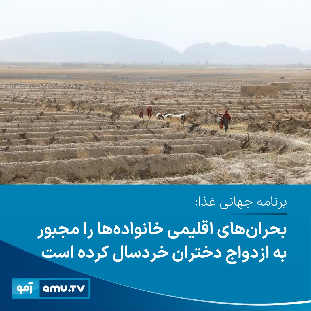 AmuTelevision's tweet photo. برنامه جهانی غذا اعلام کرده که بدتر شدن بحران اقلیمی در افغانستان برخی خانواده‌ها را وادار به ازدواج دادن دختران خردسال‌شان کرده است. 

 این نهاد ملل متحد با انتشار ویدیویی در اکس داستان یکی از پدران را برجسته کرده که برای اطمینان از بقای سایر فرزندانش مجبور به ازدواج دختر خردسالش شده است.

برنامه جهانی غذا گفته است: «بدتر شدن بحران آب و هوا در افغانستان گاهی والدین را به دلیل نجات بقیه فرزندانشان، مجبور به ازدواج دادن دختران خردسال می‌کند.»
https://t.co/FkMzOzHTnb