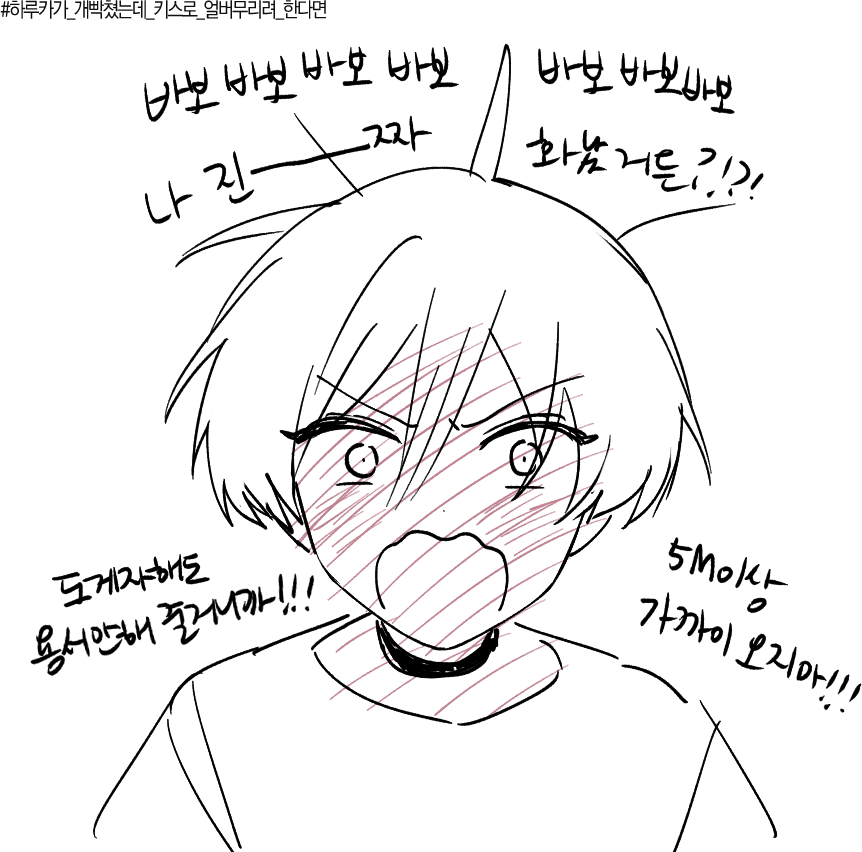 비계낙서 입니 따...