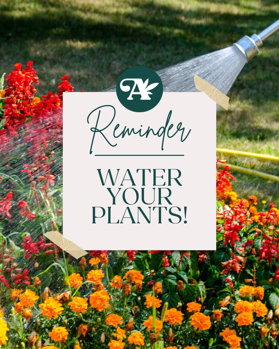 It's going to be a hot one this week 🥵 Make sure to water your plants daily!