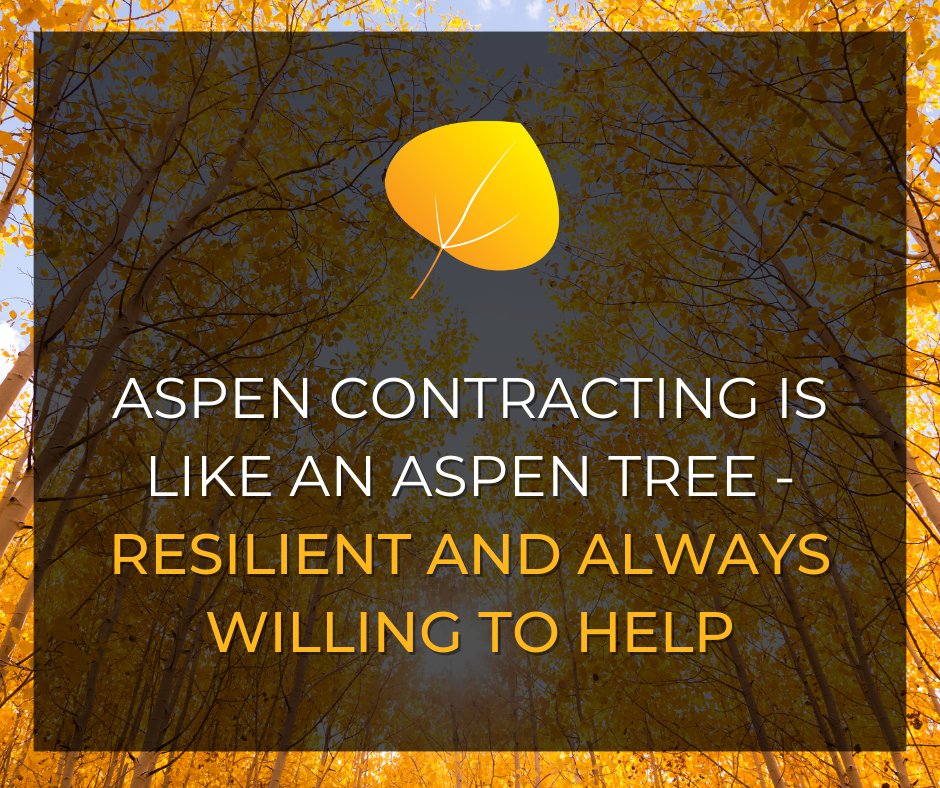 AspenCont's tweet image. Today, we celebrate the Aspen tree as our enduring mascot. Just like the Aspen tree, we symbolize strength and resilience. Our name reflects the deep-rooted commitment we have to our community.

#NationalMascotDay #AspenTree #Strength #Resilience #AspenContracting 🌟🌳💪