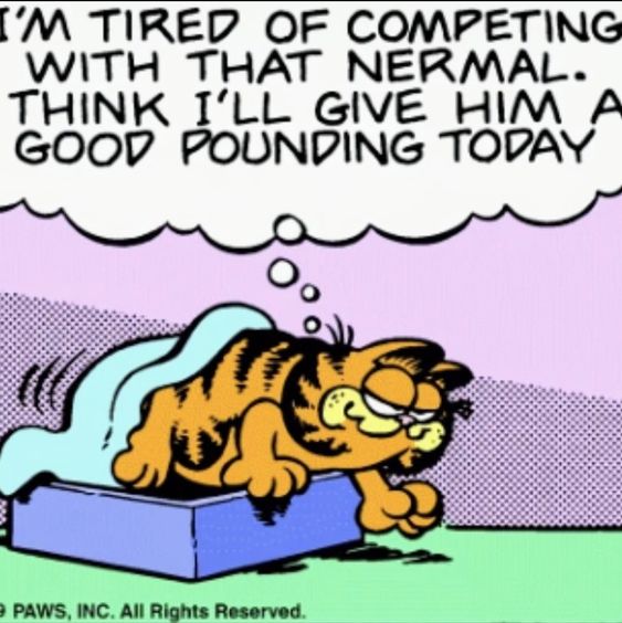shrugdeaIer's tweet photo. Damn... #GarfPost #Monday https://t.co/is7sabTtJf