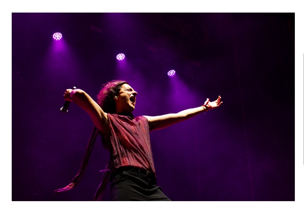 Rabiosos e infalibles <a href="/arde_bogota/">ARDE BOGOTÁ</a>.