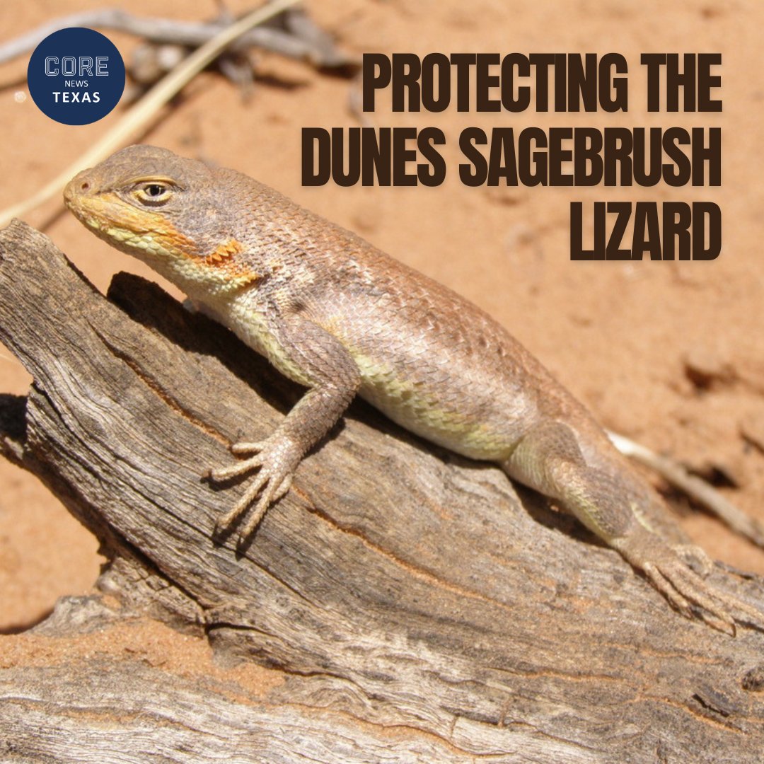 Texas Oil & Gas Association tweet media