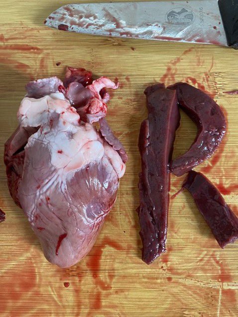 هاني ترند (@hanywrites) on Twitter photo 