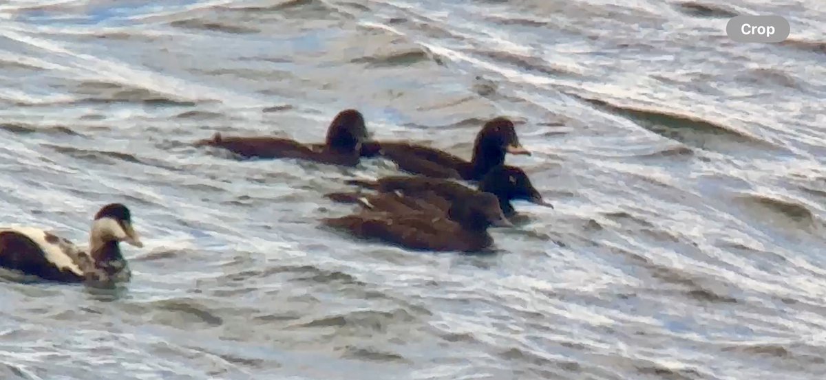 Pete Winn tweet media