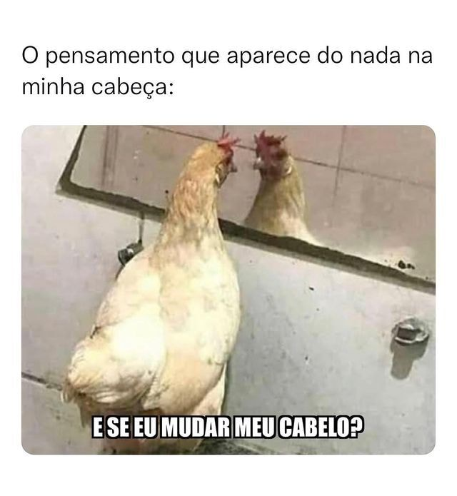 Boti Real Oficial tweet media