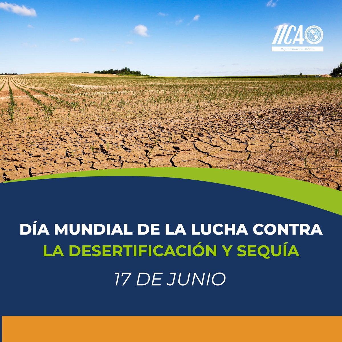 IICAMexico's tweet photo. Este día nos recuerda la importancia de proteger nuestra tierra y recursos hídricos. Juntos, podemos tomar medidas para preservar nuestro entorno y construir un futuro más resiliente.

#DiaMundialDelaLuchaContraLaDesertificaciónySequía https://t.co/GRzh1HNUU6