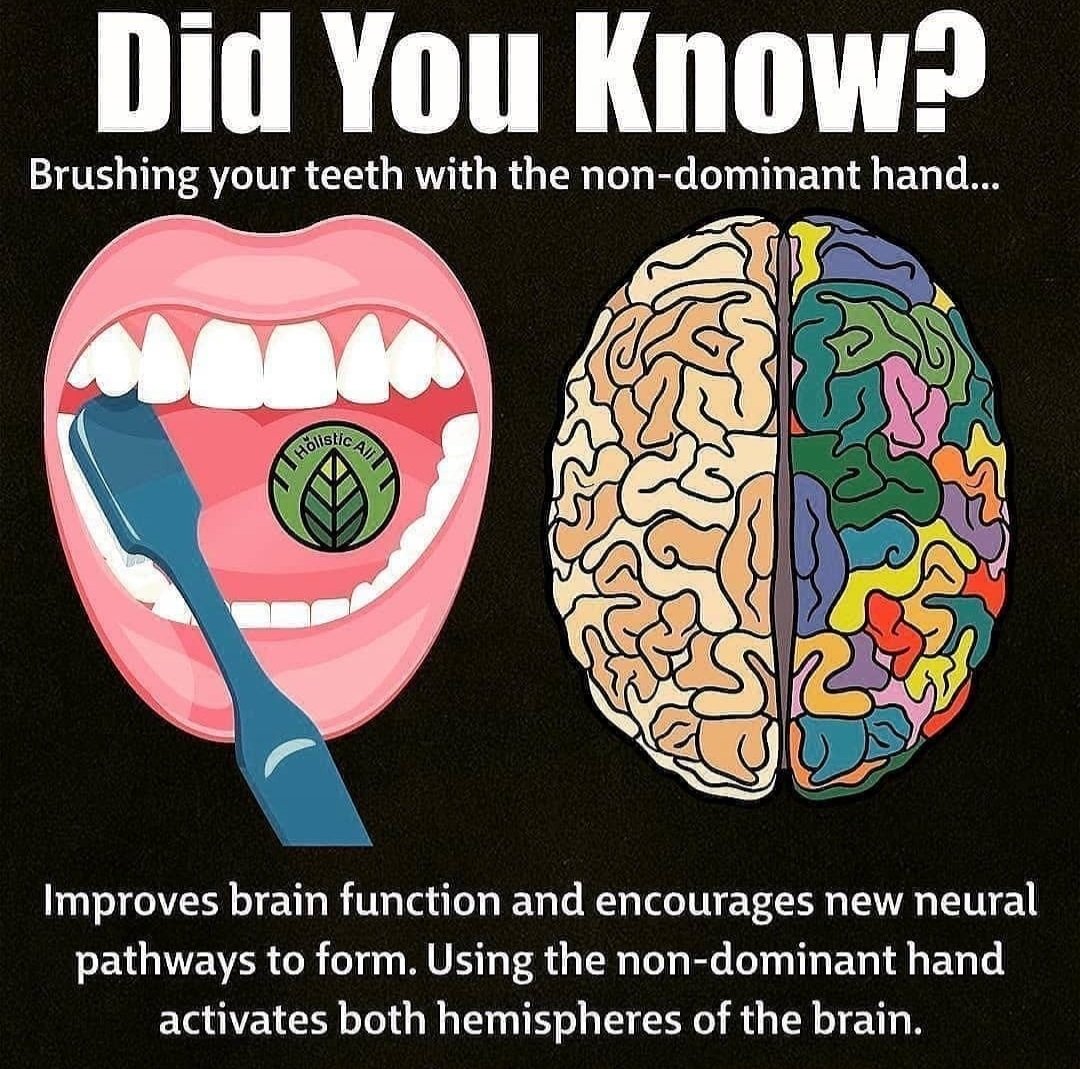 sereneKoncept's tweet image. Your extremely vital post is an addition to these infograph regarding #dentalhygiene