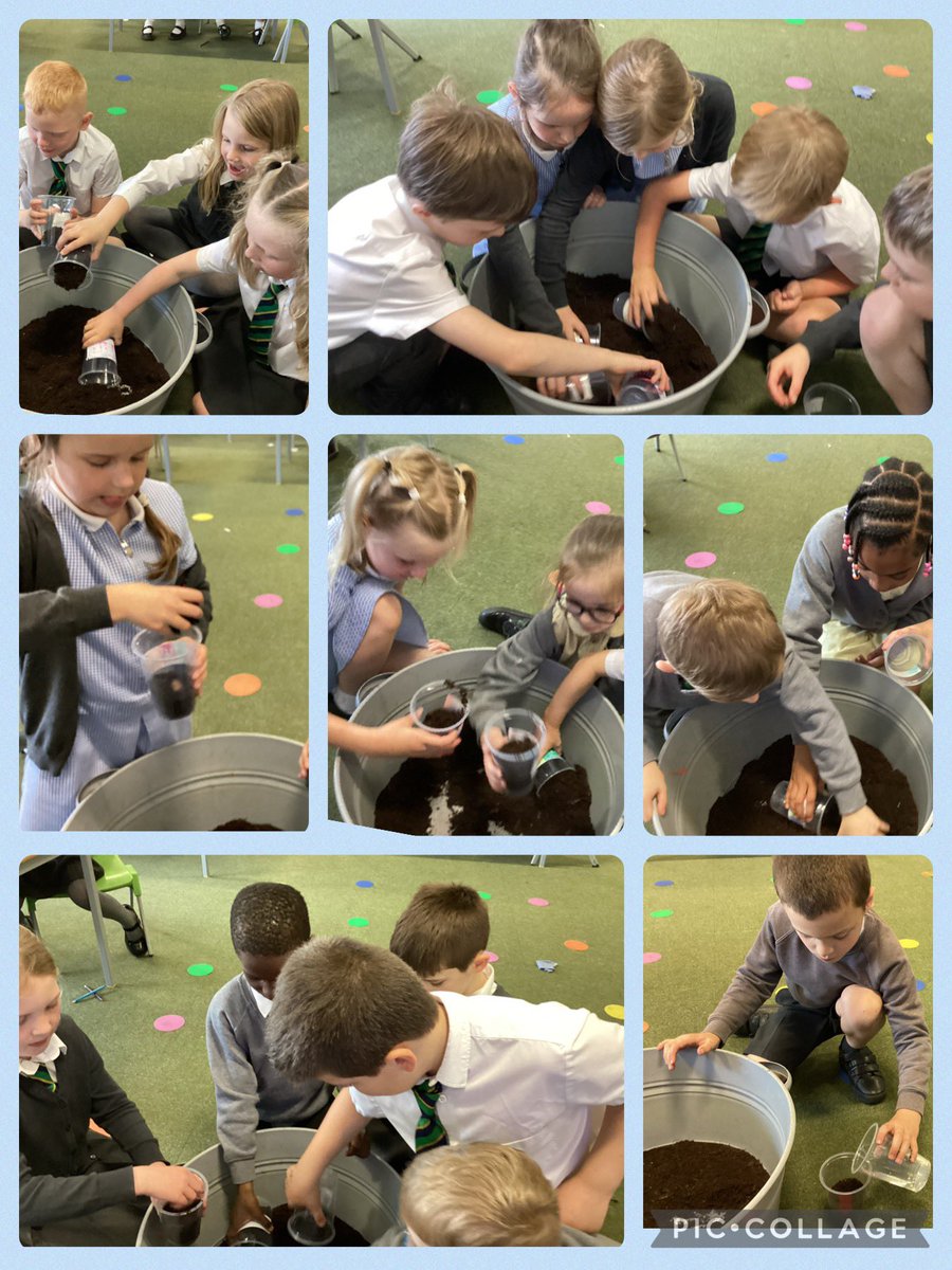 Mesne Lea tweet media