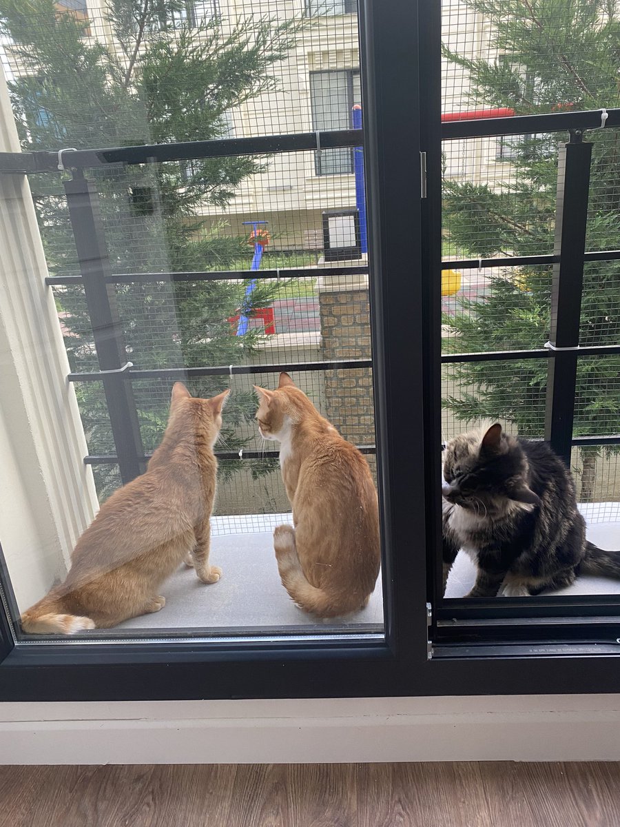 Buseeetepeli's tweet photo. balkon sefasııı https://t.co/jhgXBRIsEj