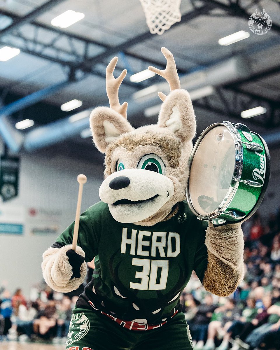 Wisconsin Herd tweet media