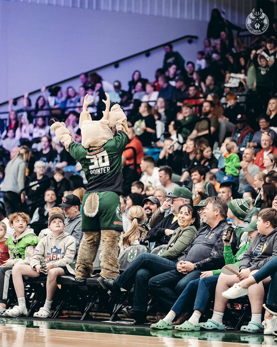 Wisconsin Herd tweet media