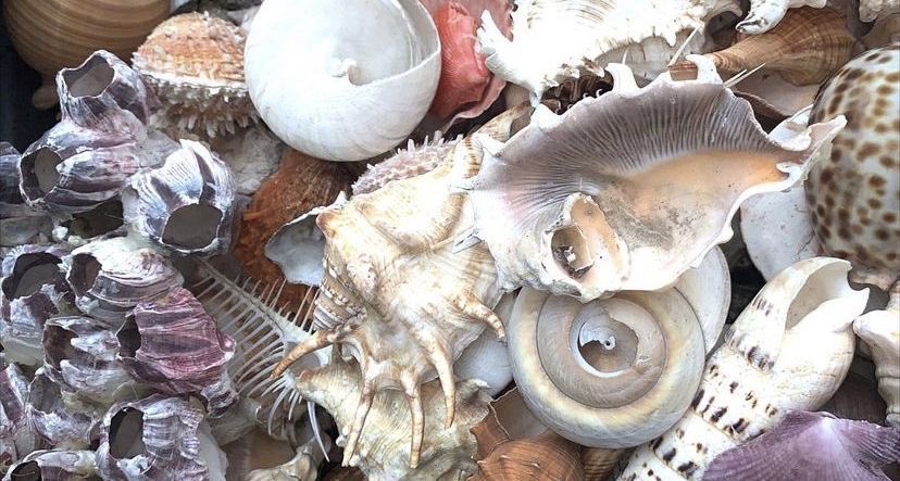 gal౨ৎ (@prtygal777) on Twitter photo 