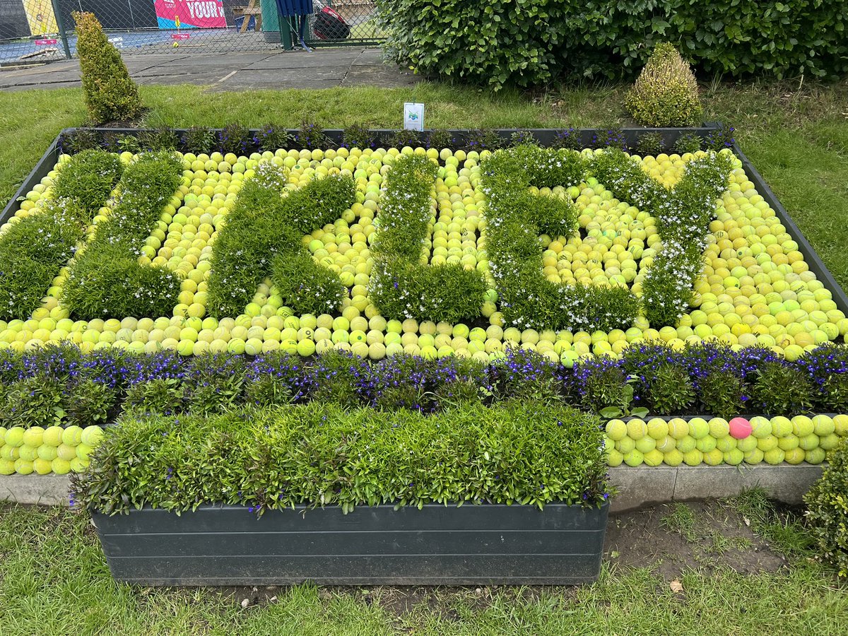 CCAYear4 tweet media