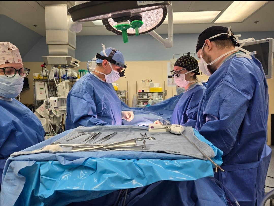 "Strong teams overcome complex pediatric urology surgeries. Together, we innovate. 

Equipos fuertes superan cirugías pediátricas urológicas complejas. Juntos, innovamos"

#SurgicalTeamwork #PediatricUrology #RainbowBabiesandChildren#InstituteUrologyUH#SurgeryWithCompassion