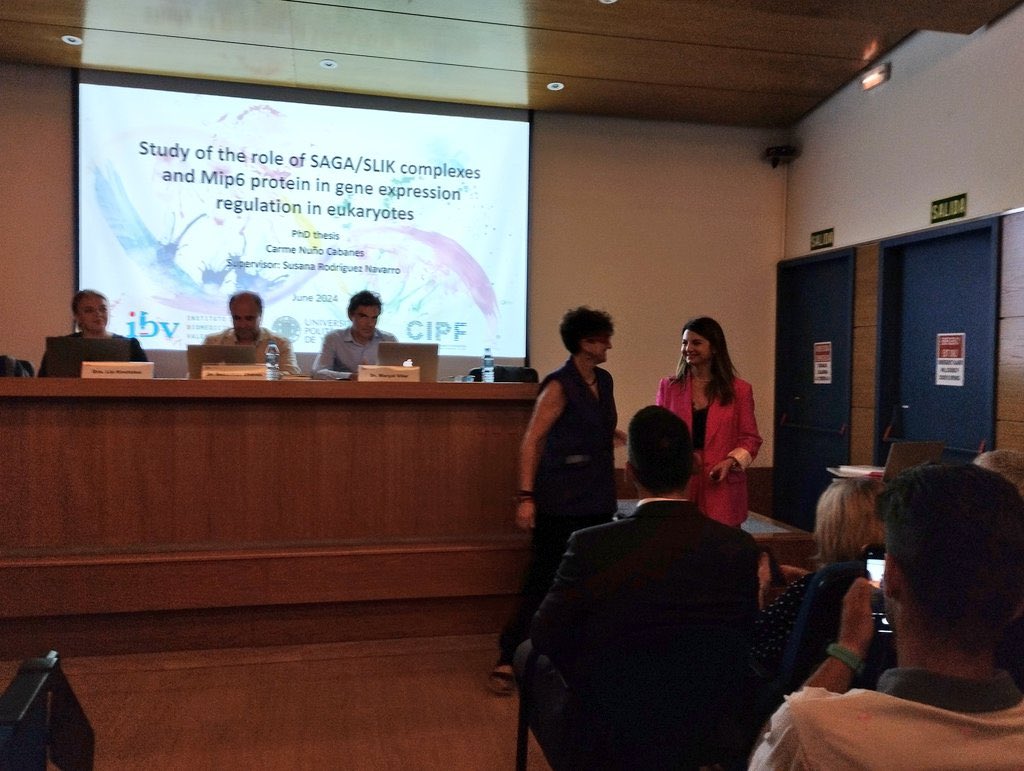 susaopina's tweet photo. great day @CarmeNuCab obtained her PhD and we enjoy her presentation and defense Great job 👏🏻
Thanks to Sebastian @EKoutelou and @marcal_vilar for all the work &amp; suggestions the @IBV_CSIC and @CIPFciencia for supporting us and special thanks to all lab members UEG-I25 💜
8 Drs🧬 https://t.co/9aVJDgBQUn