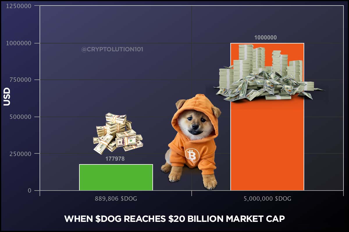 Vincent (Cryptolution) 👑 tweet media