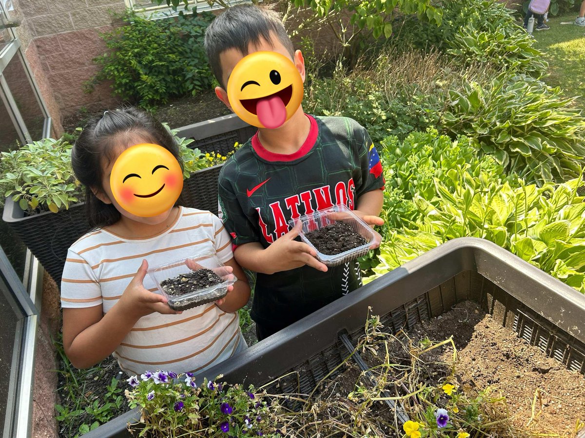 pencils_smiles's tweet image. Our class finished our  plant unit in science by planting our wild flower seedlings and seeds in our school garden! So excited to have them bloom 🌸 🪴#EMKpride #EWRSD