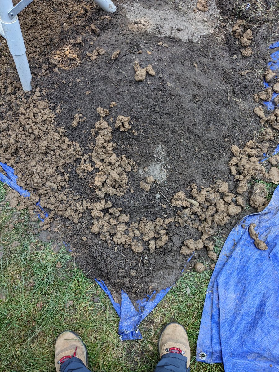 MSU Campus Archaeology Program tweet media