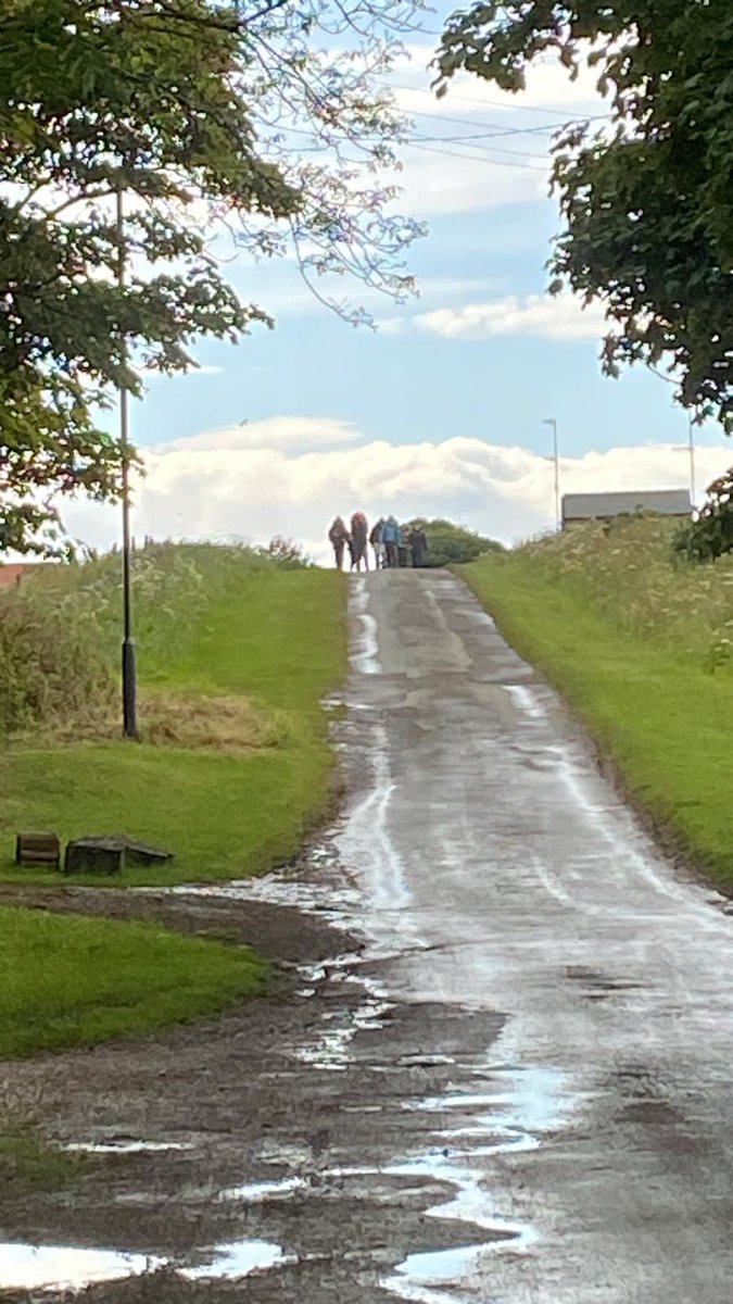 Felsted DofE tweet media