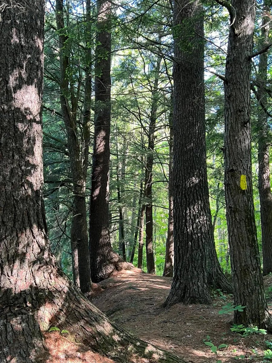 There is beautiful hiking among the #eskers! #MonumentsForAll #IceAgeTrail