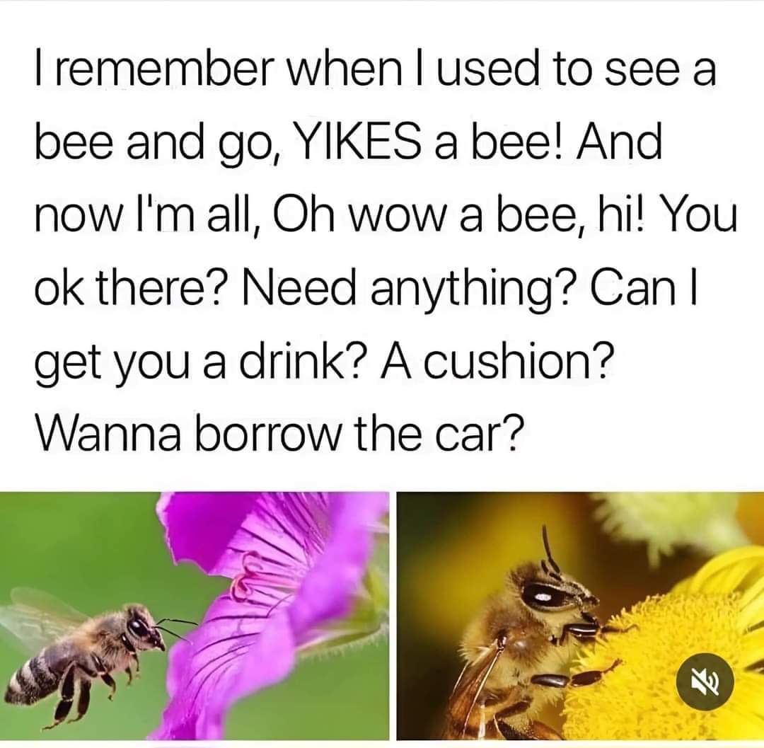 SoulshineHeali1's tweet image. 🤗