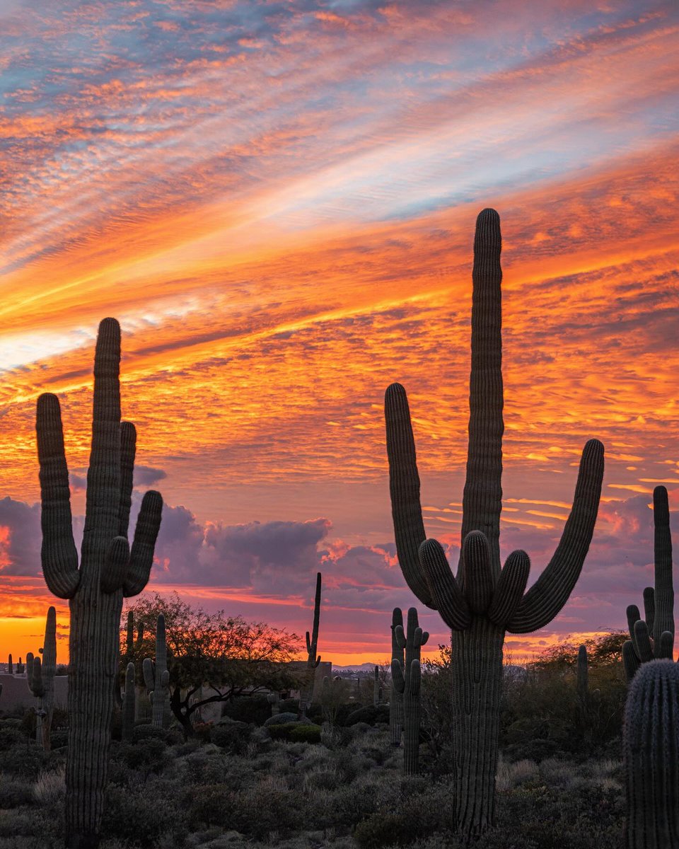 ArizonaTourism's tweet photo. Arizona's sunsets never get old. 😍

📍Apache Junction
📷: @filmat11 https://t.co/PjKfCIBEzq