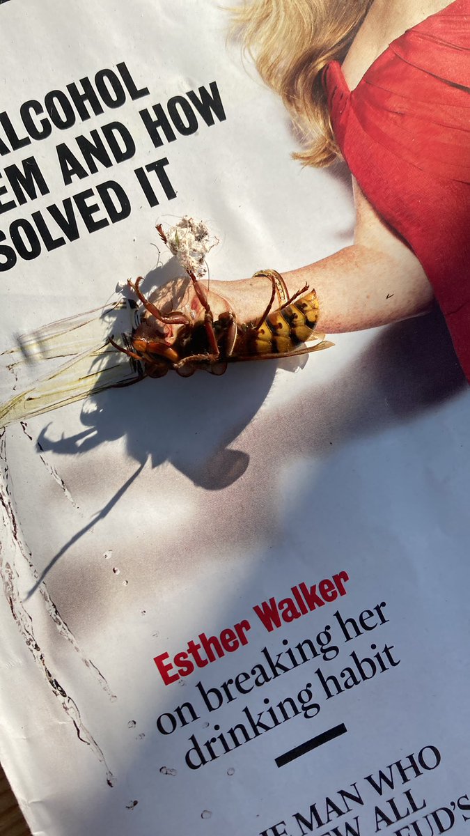 Liz Maher OBE tweet media