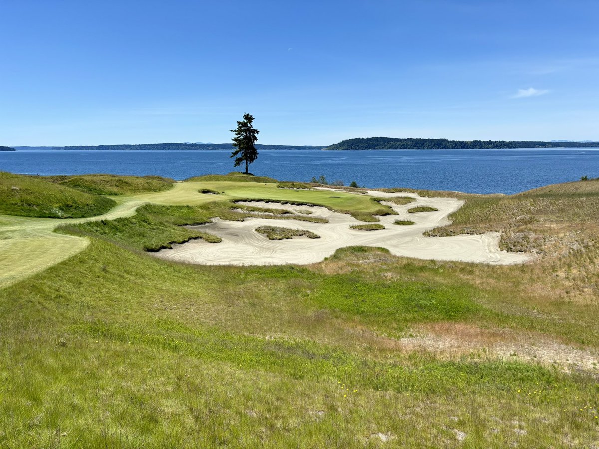 DesignOnPar's tweet image. Here is a chaser of US Open-adjacent content for your Monday. A few weeks ago I had the privilege of playing my 5000th unique hole @ChambersBayGolf. The course presented beautifully firm in warm, breezy conditions. With pins cut on some sharp terraces Chambers was a stern test.
