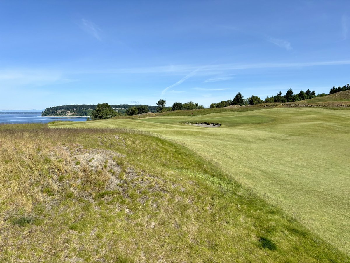 DesignOnPar's tweet image. Here is a chaser of US Open-adjacent content for your Monday. A few weeks ago I had the privilege of playing my 5000th unique hole @ChambersBayGolf. The course presented beautifully firm in warm, breezy conditions. With pins cut on some sharp terraces Chambers was a stern test.