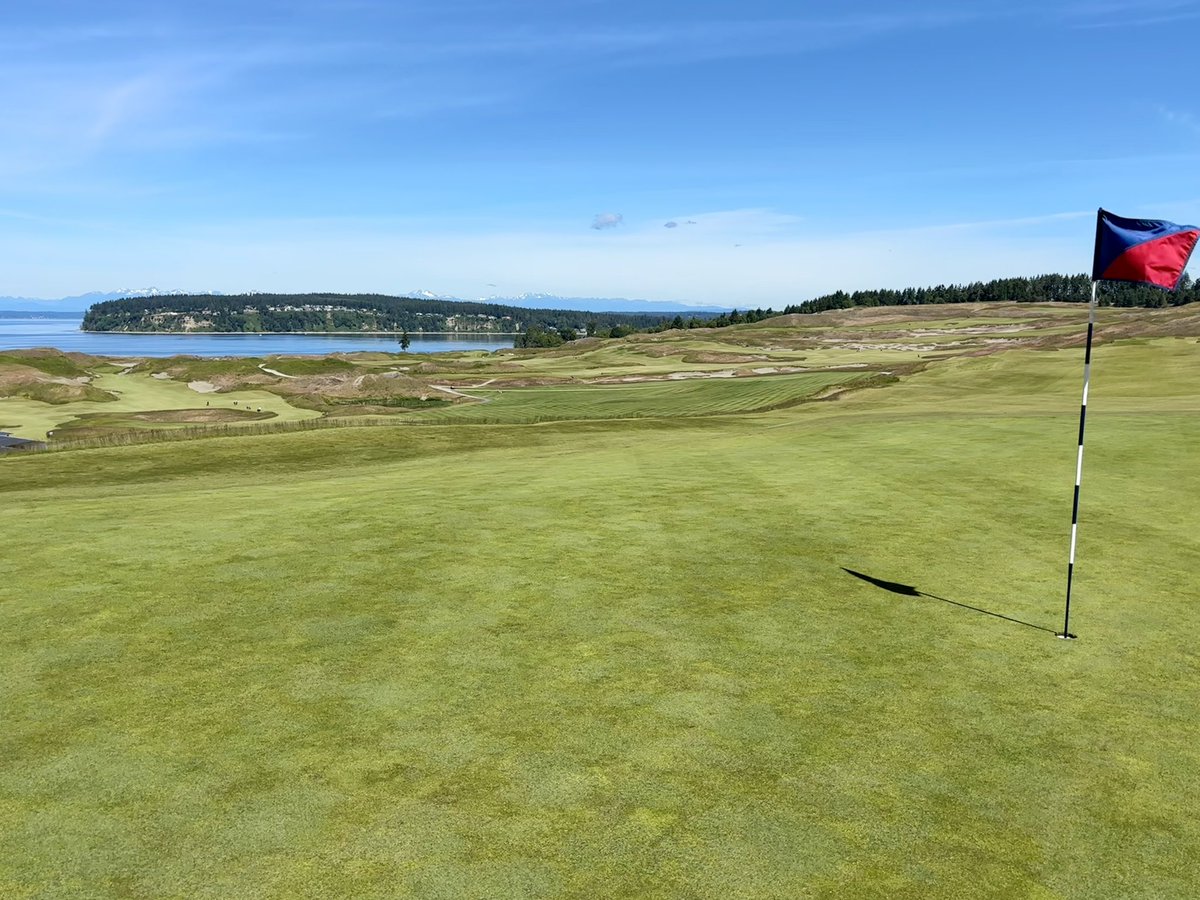 DesignOnPar's tweet image. Here is a chaser of US Open-adjacent content for your Monday. A few weeks ago I had the privilege of playing my 5000th unique hole @ChambersBayGolf. The course presented beautifully firm in warm, breezy conditions. With pins cut on some sharp terraces Chambers was a stern test.